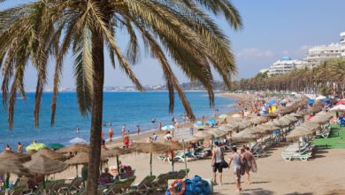 Viviendo el Sueño: Guía para Expatriados en Marbella