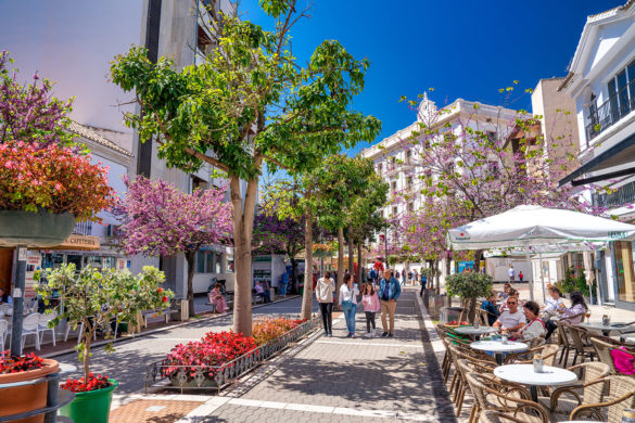 estepona guide