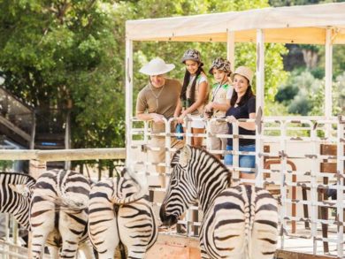 Family Fun in Marbella: The Ultimate Guide to Activities for Kids